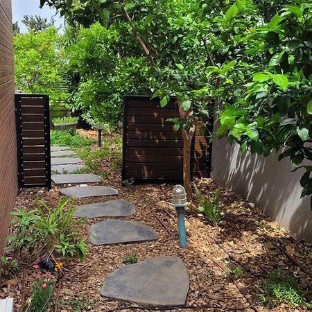Tirat Carmelנקודות ריפויアパートメント エクステリア 写真